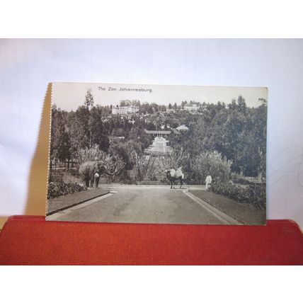THE ZOO, JOHANNESBURG, SOUTH AFRICA unused antique postcard =