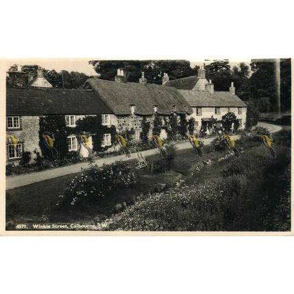 Winkle Street, Calbourne, IOW, 4571 RP Nigh Postcard, 1953