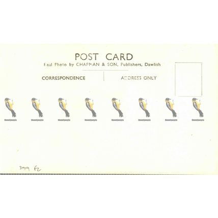 Cheddar Caves, Meditation, Gough, RP Chapman Postcard