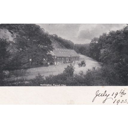 ED 132 WELLINGTON - FOREST GLEN. PRINTED POSTCARD. DUPLEX 859 POSTMARK