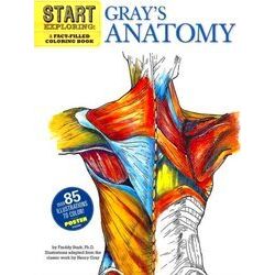 Start Exploring Grays Anatomy
