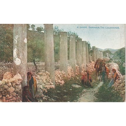 Antique Palestine Postcard - Samaria, The Colonnade