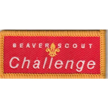 Scout Badges - Beaver Scout Challenge 1995/03 - Black Back - (PO12)