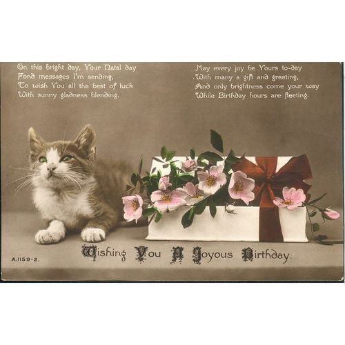 Rotary Photo Antique PC 1913 - Wishing You A Joyous Birthday - A.1159-2