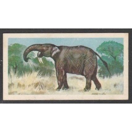 Brooke Bond Tea Card's Prehistoric Animals . Deinotherium. Series of 50 No 45