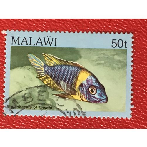 Malawi 1984 50t Thumbi Emperor Cichlid Used SG 698 Sc 437 fish stamp postage