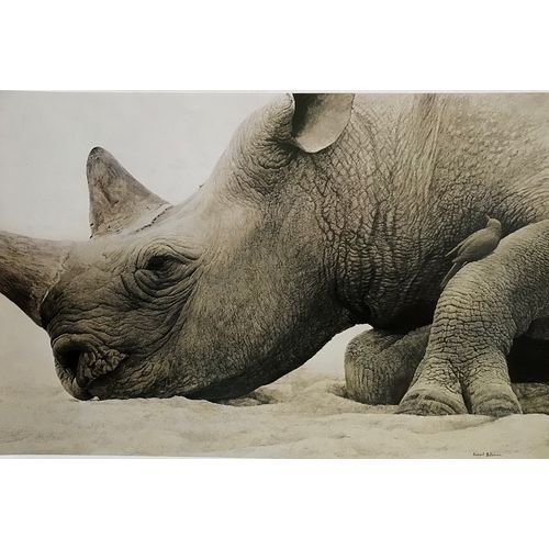 Robert Bateman print RHINOCEROS Head Vintage Animal Litho Poster Wall Art Decor