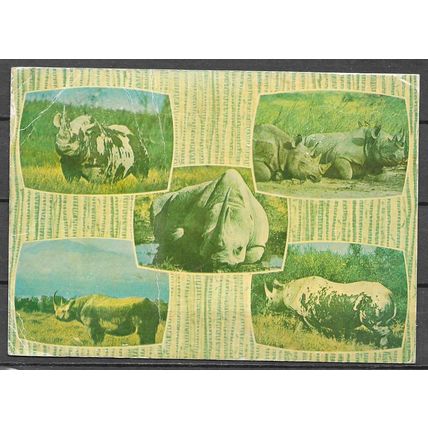 Kenya - Carte Postale REF 8