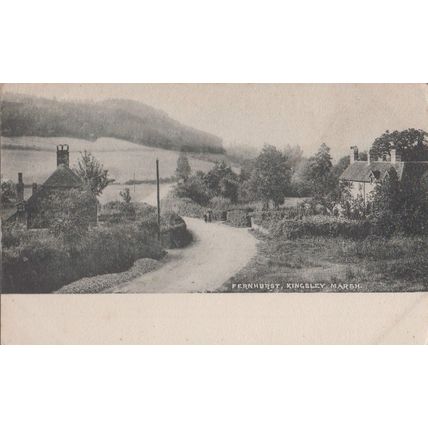 Fernhurst Kingsley Marsh Haselmere Surrey Antique Postcard