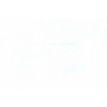 Motorcycle Photograph VGC