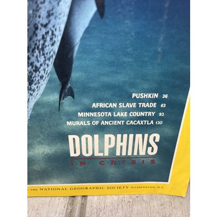 National Geographic Magazine September 1992 Dolphins - Vintage Collectable