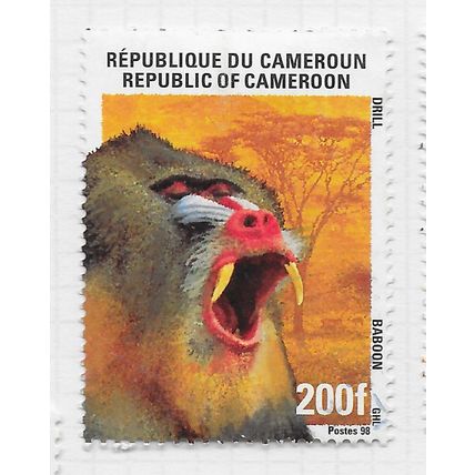CAMEROUN CAMEROONS 1998 BABOON DRILL FANGS MANDILLUS 200F USED ANIMAL FAUNA