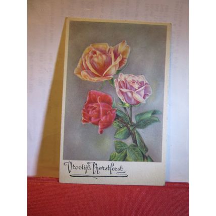 ROSES, CHRISTMAS CARD, DUTCH unused vintage postcard =