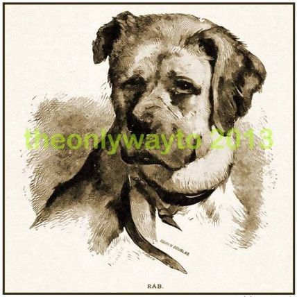 Rab (famous Victorian Dog),1899, MODERN REPRODUCTION