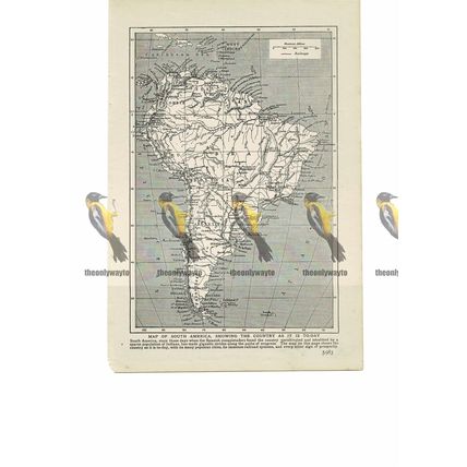 South America, Map, Book Illustration (Print), 1909