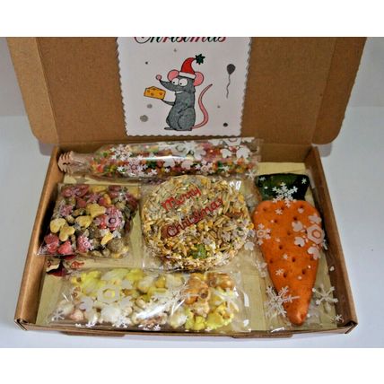 RAT TREAT CHRISTMAS GIFT BOX WITH XMAS CAKE POPCORN HONEY BAR CARROT & BISCUITS