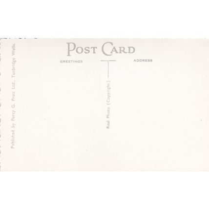 ED 120 CHARTWELL - BLACK SWANS . RP POSTCARD