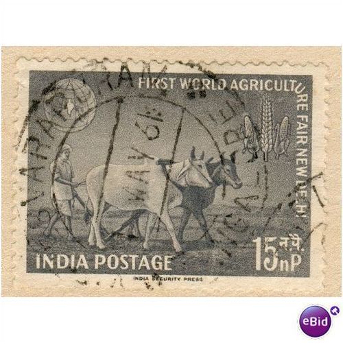 India 1959 - SG 425 - Farmer with Bullocks 15np - used