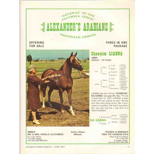 alexanders arabians 1972 liahna na ganna stud horse vintage ad