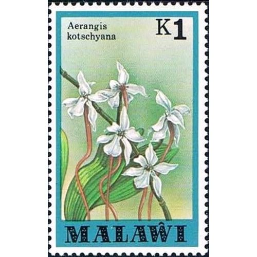 Malawi 1979 K1 Aerangis Kotschyana Orchid Unmounted Mint NHM SG 588 Sc 338 Stamp