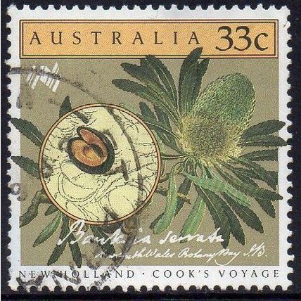 Australia 1986 Cook's Voyage - Banksia serrata 33c Used