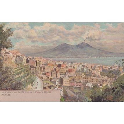 Bertolini's Palace Hotel Naples Aerial View Italian Antique Postcard