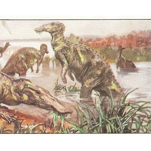 Panini's Dinosaurs Sticker Collection - Sticker No. 58