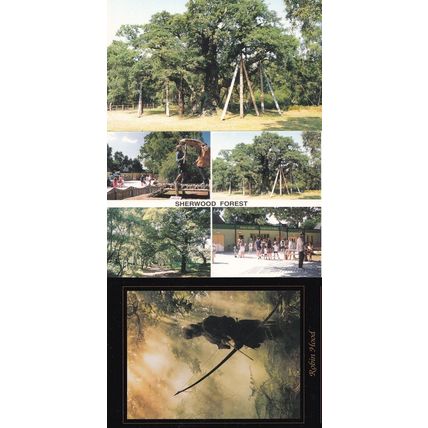 Sherwood Forest Visitors Centre Robin Hood 3x Postcard s