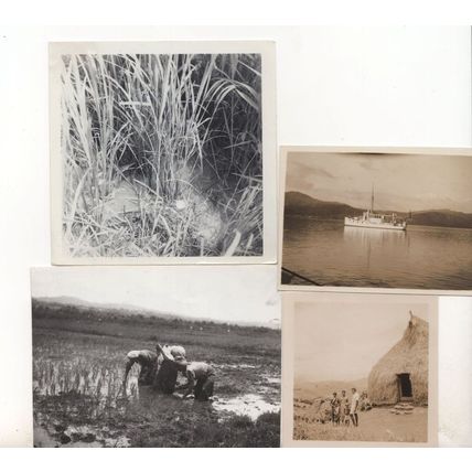 Fiji Army Damage Transplanting War 1938 Ship Straw House 4x Photo s