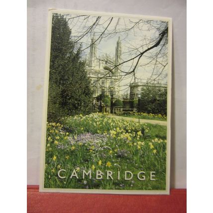 SPRINGTIME, CLARE COLLEGE, CAMBRIDGE used postcard by J. Salmon =