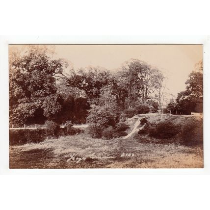 Hayes Common Bromley Postcard RP Kent