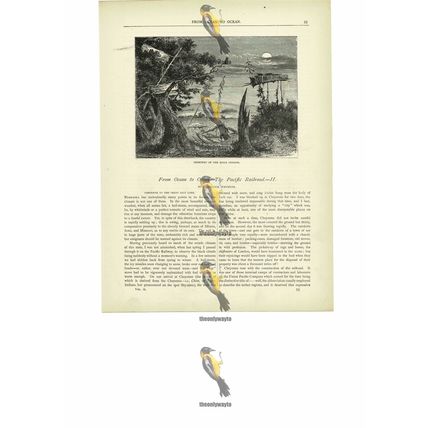 Sioux Indian Cemetery, USA, Book Illustration (Print), c1880
