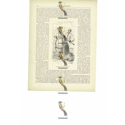 Chuvashes & Their Costumes, The Volga, Russia, Book Illustration (Print), c1880