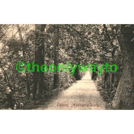 Oxford Addison's Walk, Oxon, Friths Postcard 1907
