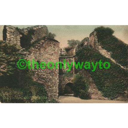 Oxford New College, City Walls, Oxon, Friths Postcard 1909
