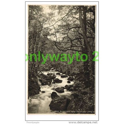 BY TORRENT WALK, DOLGELLEY, WALES, 1934, Postcard