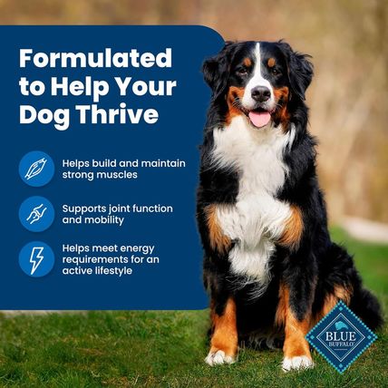 Blue Buffalo Life Protection Formula Adult Dry Dog Food, Helps Build and Maintai