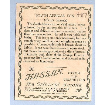 Tobacco Card ~ Company: American Tobacco Company Brand: Hassan Cork Tip Ci~87