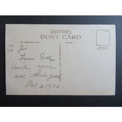 Birthday Greetings, Terrier Dogs Vintage Postcard