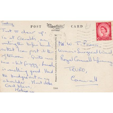 Dogs in Basket Postcard 1961 used VGC