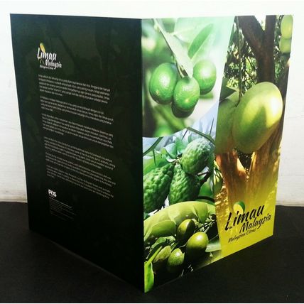 Malaysia Citrus 2018 Fruits Pomelo Plant (folder) *limited