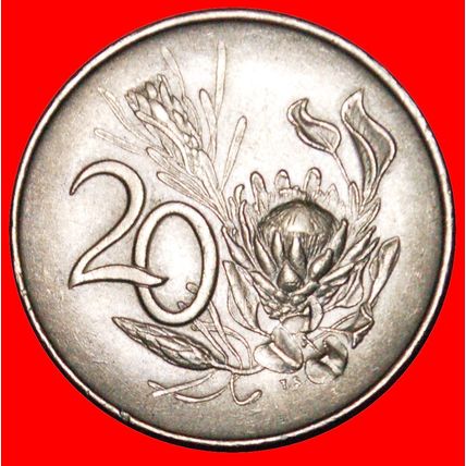 FLOWER: SOUTH AFRICA★ 20 CENTS 1965 AFRIKAANS LEGEND! DIE A★LOW START★NO RESERVE