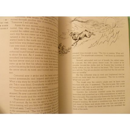 WHY THE NORTH STAR STANDS STILL AND OTHER INDIAN LEGENDS by WILLIAM R PALMER