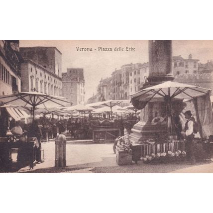 Verona Piazza Delle Urbe Italian Street Vendor Florist Old Postcard
