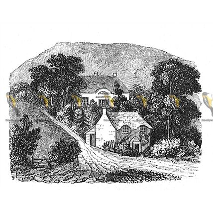 St Boniface, Isle Of Wight, England, 1840, MODERN REPRODUCTION