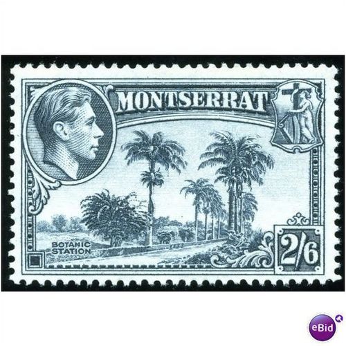 Montserrat KGVI 1938 2/-6d Slate Blue Unmounted Mint SG 109 Perf 13