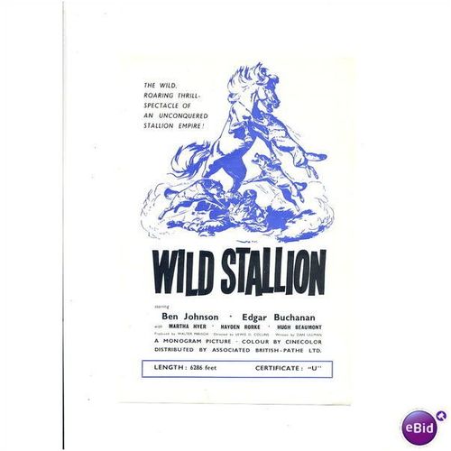 WILD STALLION Ben Johnson, Edgar Buchanan, Martha Hyer Synopsis