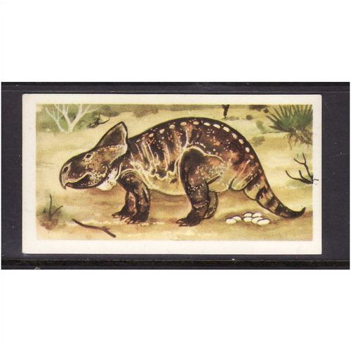 Brook Bond Prehistoric Animals Protoceratops No 25 Mint