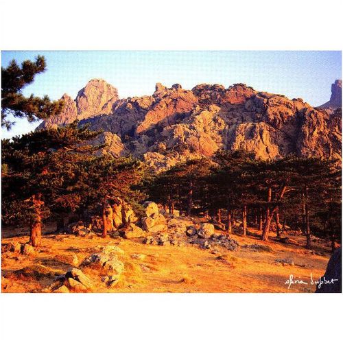 Colour Photo Postcard - Col de Bavella, Corsica, France