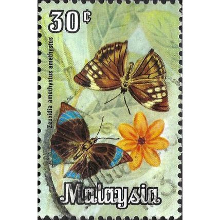 MALAYSIA, BUTTERFLY, Saturn, Zeuxidia amethystus, green 1970, 30c